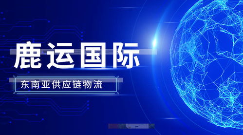 全球供應(yīng)鏈變革 數(shù)字技術(shù)為外貿(mào)服務(wù)注入新動(dòng)能