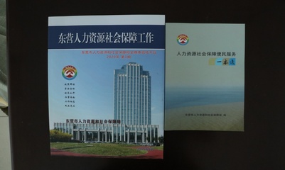 東營市人力資源和社會保障局在社會經濟咨詢服務中的作用與探索